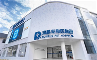 深圳“跑出”2000㎡宠物医院转诊中心