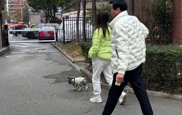 遛狗不栓绳将违法：多数养犬人已知晓