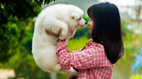 麦德氏：宠物食品和药品价格为何居高不下