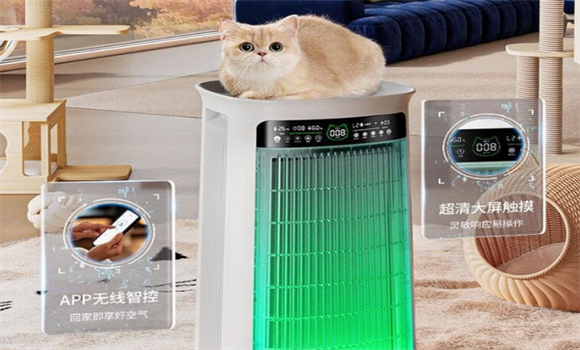 XYPC猫毛空气净化器效果好不好