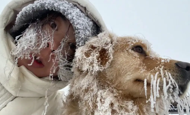 妹子带大金毛去爬雪山，结果…狗：其实你不必干啥都带上我