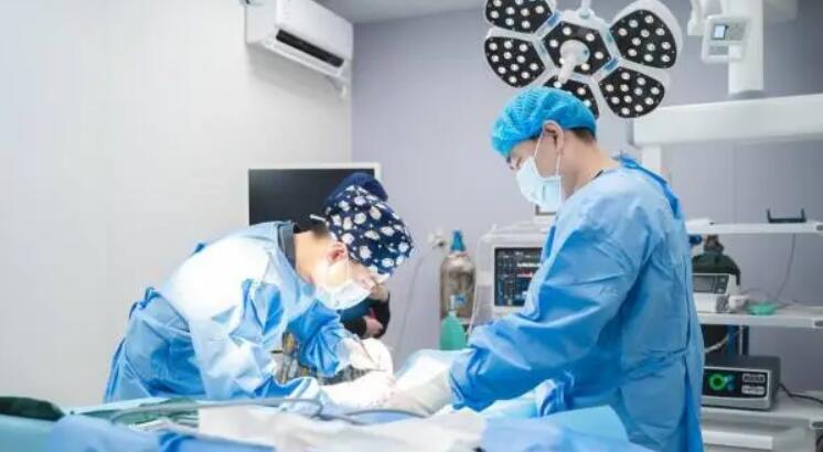再下一城!新瑞鹏集团旗下大湾区东部最大宠物转诊中心落地深圳罗湖 再下一城!新瑞鹏集团旗下大湾区东部最大宠物转诊中心落地深圳罗湖