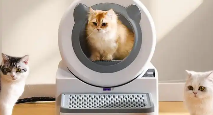 健康便捷新选择:宠洁仕冲水式智能猫马桶精准解决养宠痛点 健康便捷新选择:宠洁仕冲水式智能猫马桶精准解决养宠痛点