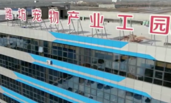乖宝宠物:大项目将成,宠粮出口撑起半边天 乖宝宠物:大项目将成,宠粮出口撑起半边天