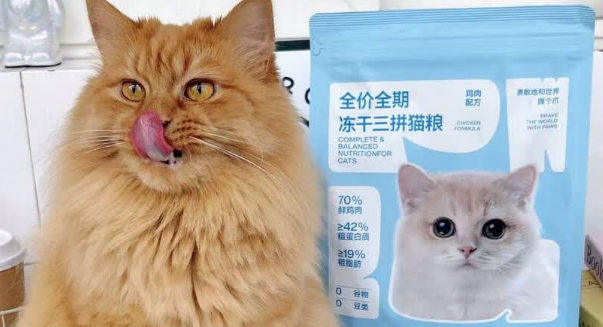 怪兽乱撞猫粮怎么样