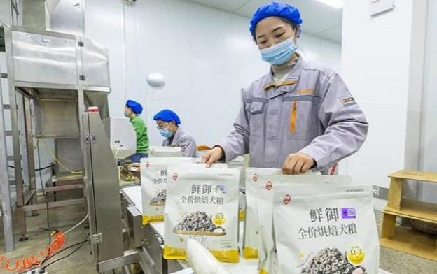 千亿赛道上的破圈突围 宿州竞逐宠物经济为什么能? 千亿赛道上的破圈突围 宿州竞逐宠物经济为什么能?