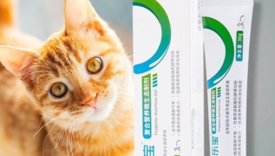 宠乐宝营养膏是给狗吃的吗