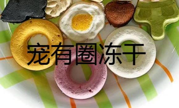 宠有圈冻干怎么样