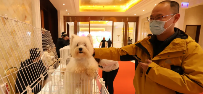 宿州市举行宠物产业招商项目签约仪式 宿州市举行宠物产业招商项目签约仪式