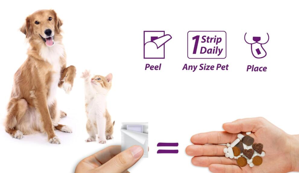 当科技遇上爱宠：景隆生物口溶膜让喂药变轻松