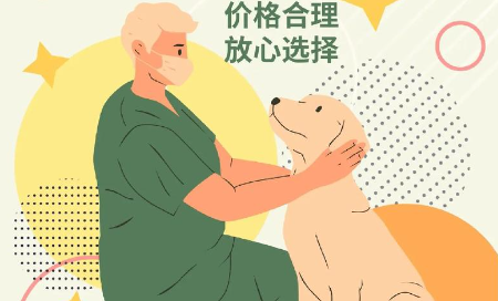 宠物上门喂养师：“它经济”升温，新机遇上门