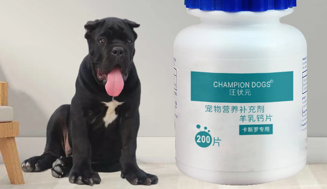 汪状元钙片怎么样