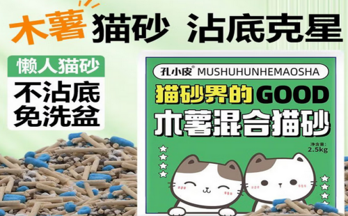 孔小皮