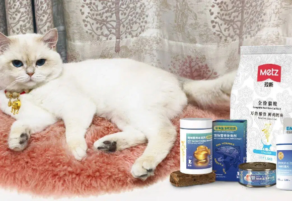 职场人的社交货币！值得放入“猫粮推荐2026”清单的万兽傲骨