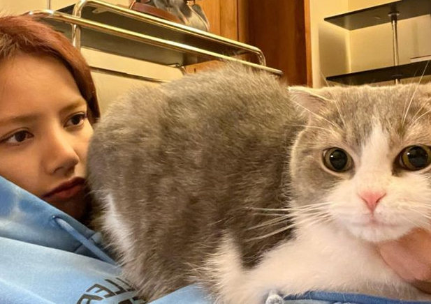 时尚圈的终极战场，为何是毛孩子