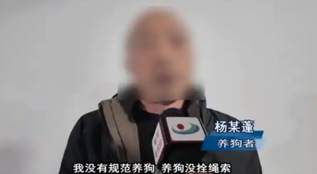未拴绳狗追咬路人!肇事犬主人已被拘 未拴绳狗追咬路人!肇事犬主人已被拘