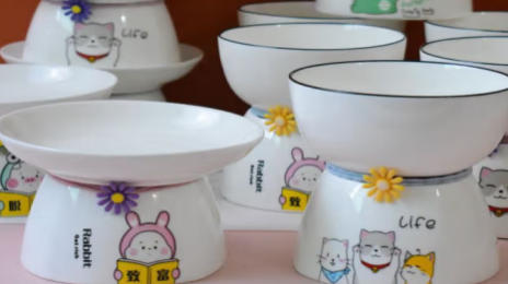 虹弦见猫碗用什么颜色好