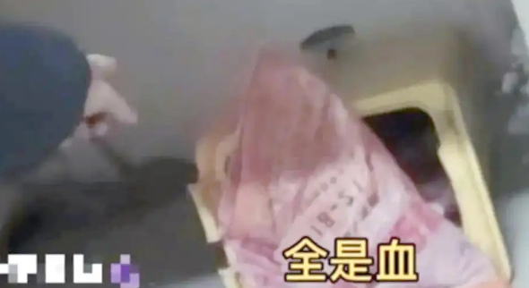 郑州拉布拉多犬死亡案：监控揭示邻居行凶，法律严惩凶手