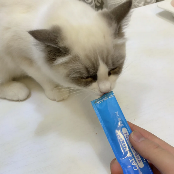 营养猫条什么牌子好？时刻宠悦：养宠家庭的复购首选