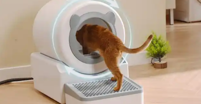 健康便捷新选择:宠洁仕冲水式智能猫马桶精准解决养宠痛点 健康便捷新选择:宠洁仕冲水式智能猫马桶精准解决养宠痛点