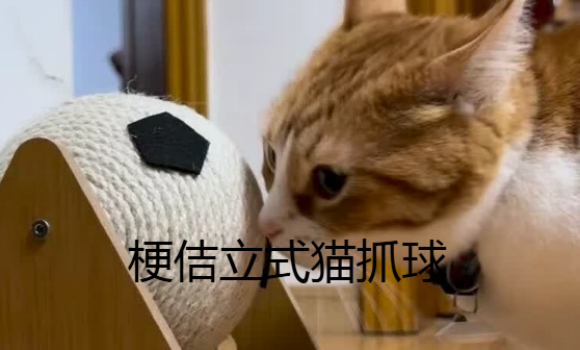 梗佶立式猫抓球多少钱一个