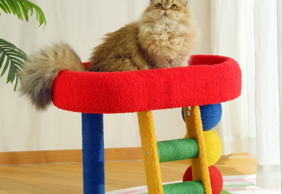 曼乐兔猫爬架实用吗 曼乐兔猫爬架实用吗