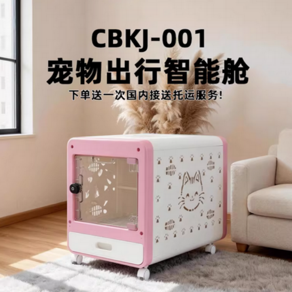 宠物托运哪个靠谱？宠宝科技为新手打造养宠出行安心体验