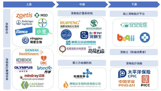 高增速、“假暴利”：从新瑞鹏撤退到瑞派盈利，深扒中国宠物医院为什么难赚钱？