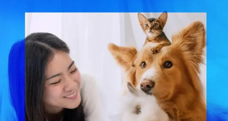 宠物经济成为消费市场新增长极 宠物经济成为消费市场新增长极