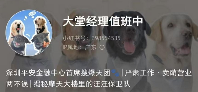 平安金融中心“汪汪队”小狗的真实身份竟是搜爆犬 平安金融中心“汪汪队”小狗的真实身份竟是搜爆犬