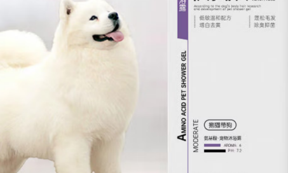 拖猫带狗宠物品牌靠谱吗