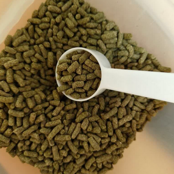 新手养龙猫怎么选粮？碧甜Sweet Bi凭这些成为贴心之选 