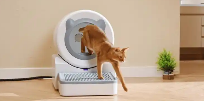 宠洁仕冲水式智能猫马桶：新房装修，为爱宠规划一劳永逸的如厕区