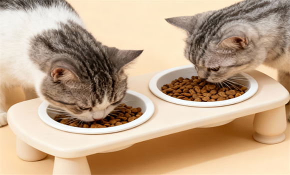 宠物碗选什么材质好?老树宠物用品猫咪实木陶瓷食盆藏着养宠高阶美学 宠物碗选什么材质好?老树宠物用品猫咪实木陶瓷食盆藏着养宠高阶美学