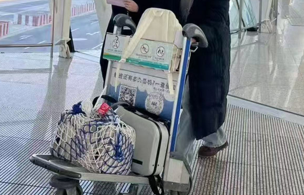 东航武汉完成首例“宠物进客舱”服务