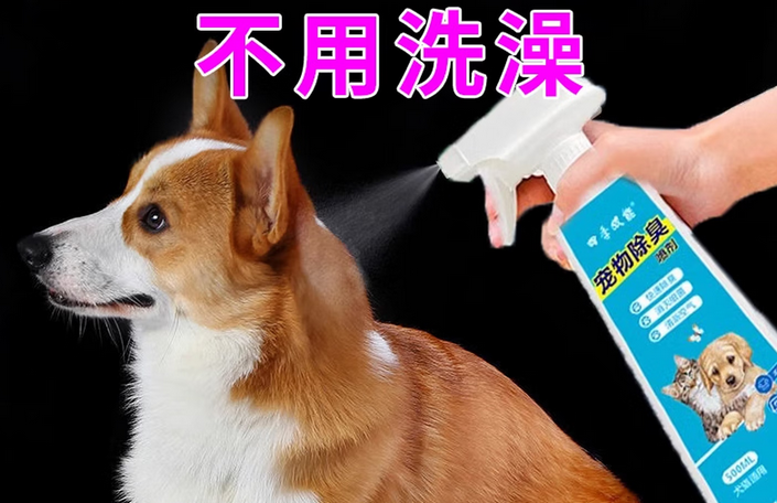 四季双能宠物除臭喷剂怎么用