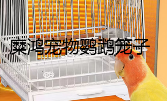 糜鸿宠物鹦鹉笼子用什么消毒 糜鸿宠物鹦鹉笼子用什么消毒