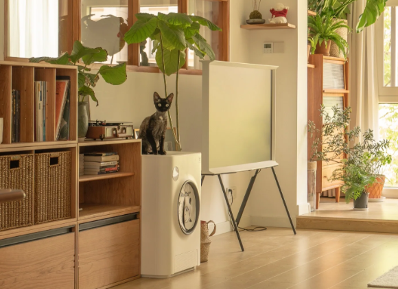 宠物用品品牌哪个好？雅雅柒宠为女性宠主提供了更好的选择