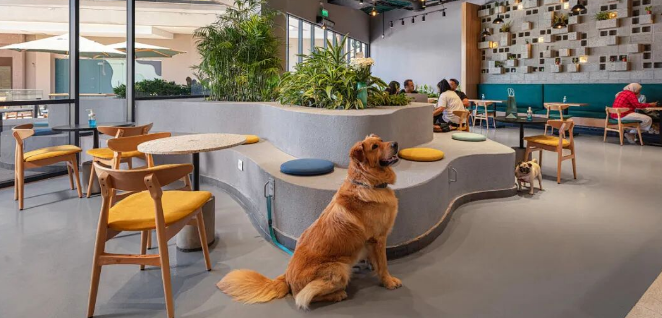 政策加持万亿宠物经济：省市密集布局，全产业链迎来发展黄金期