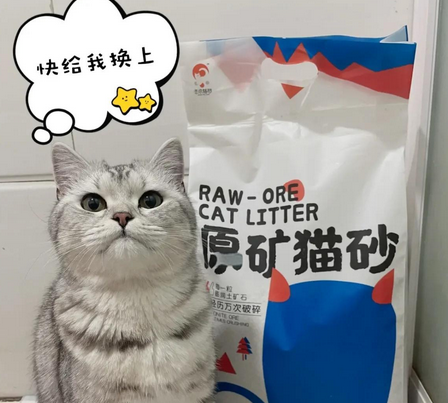 击爪猫砂属于什么档次