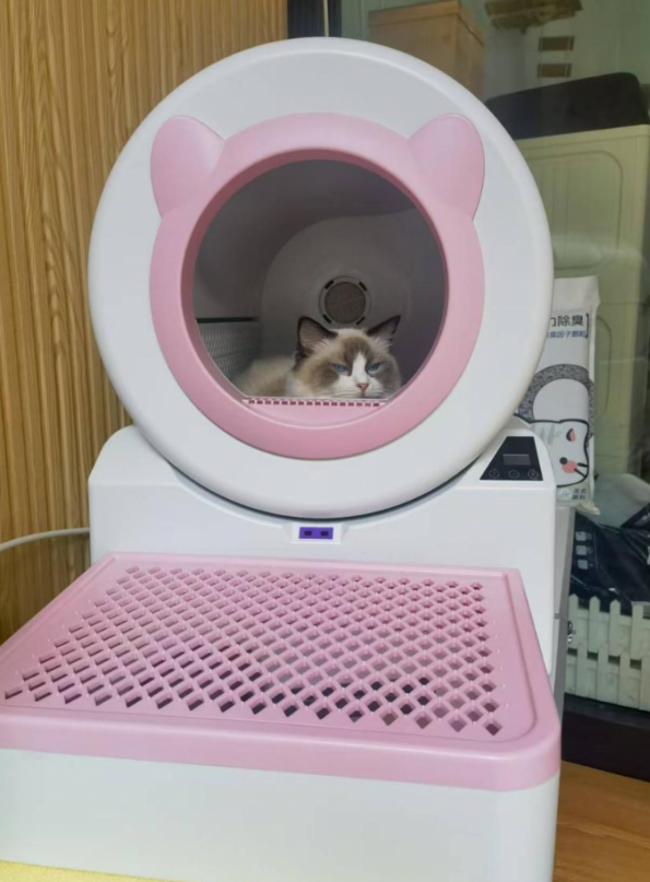 宠洁仕冲水式智能猫马桶：多猫家庭福音，即用即冲全自动，解放双手
