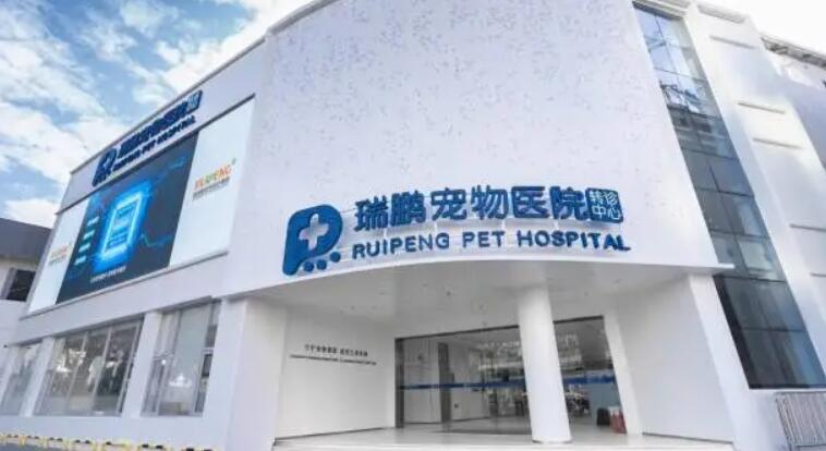 再下一城!新瑞鹏集团旗下大湾区东部最大宠物转诊中心落地深圳罗湖 再下一城!新瑞鹏集团旗下大湾区东部最大宠物转诊中心落地深圳罗湖