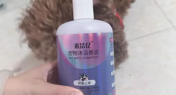 素洁亿宠物沐浴露过期了还能用吗 素洁亿宠物沐浴露过期了还能用吗