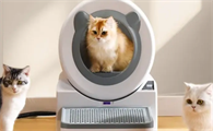 宠洁仕冲水式智能猫马桶：填补全屋智能生态的宠物清洁短板