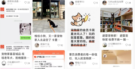 暴利的宠物，大厂的坟墓