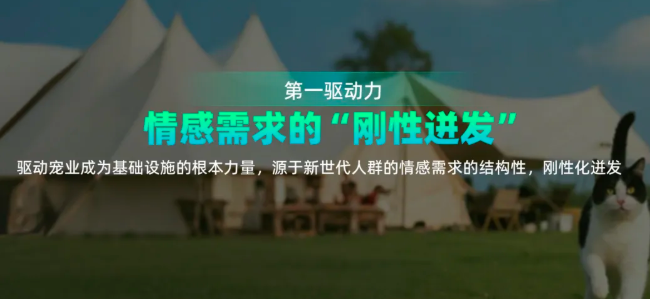 2025宠业新增长大会暨郝波宠业年度演讲圆满举办! 2025宠业新增长大会暨郝波宠业年度演讲圆满举办!