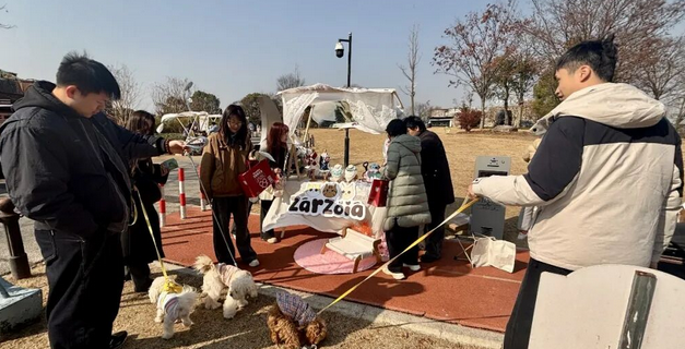 “毛孩子”在泰晤士小镇开派对! “毛孩子”在泰晤士小镇开派对!