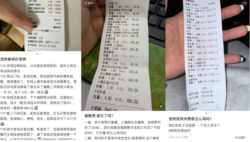 宠物医疗瑞派冲刺IPO,“铲屎官”第一个不乐意? 宠物医疗瑞派冲刺IPO,“铲屎官”第一个不乐意?