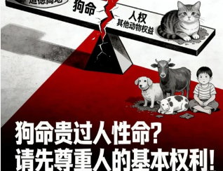 养宠人高素质的真不多!宠物滥养,将会成为严重问题 养宠人高素质的真不多!宠物滥养,将会成为严重问题