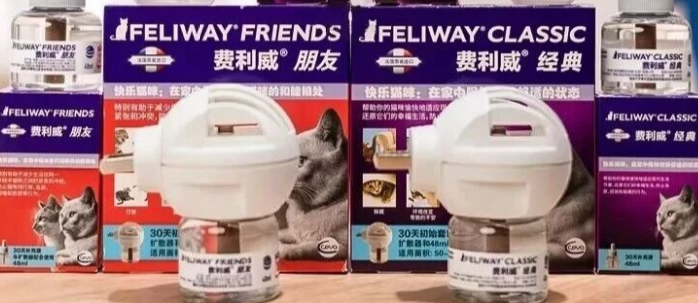 猫狗春节全照料指南：一份清单，两份安心